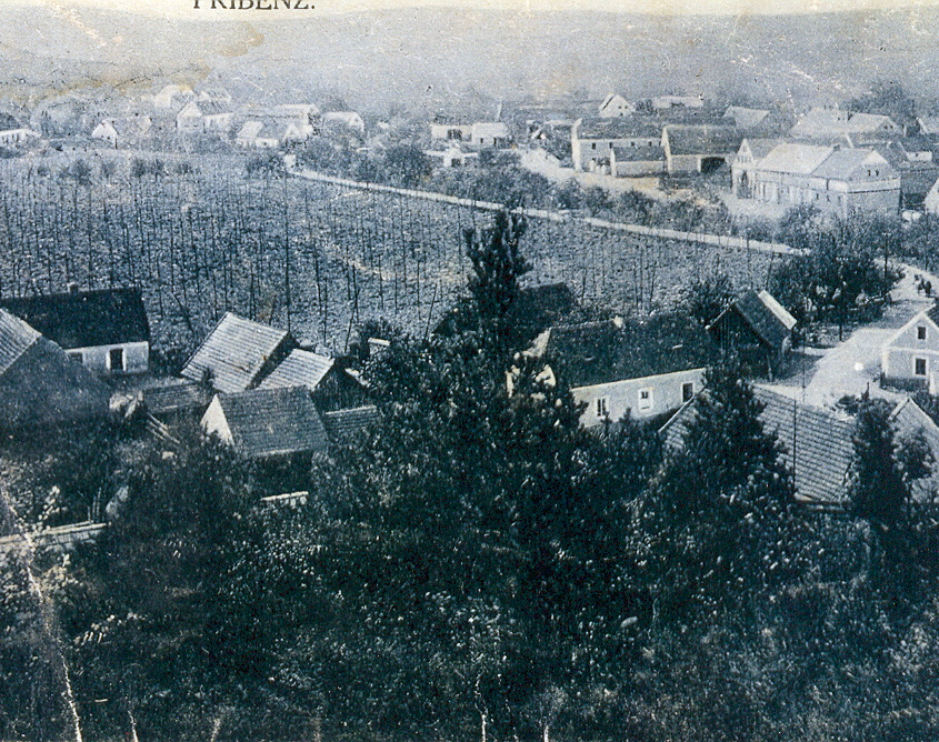Pohlednice s názvem Pribenz (nedatováno, do roku 1945) - pohled na vesnici z kopce Kobyla, od Mukoděl. Dole je vidět chmelnice - dříve tam byl rybník, a pod kostelem mlýn. Zdroj: Artur Dýzl
